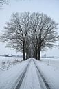 Landweg met sneeuw van Pauline Bergsma thumbnail