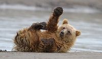 High five, Alfred Forns van 1x thumbnail