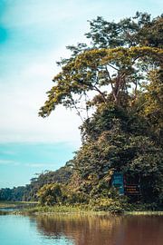 Tortuguero Tranquility by Sebastiaan Hollaar