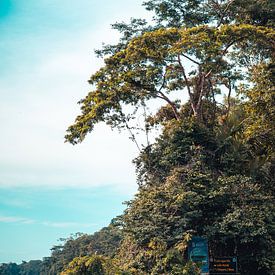 Tranquillité à Tortuguero sur Sebastiaan Hollaar