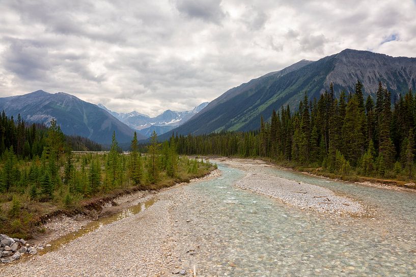 Kootenay NP in Canada van Vivo Fotografie