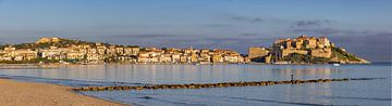 Calvi panorama, Corsica, France by Adelheid Smitt