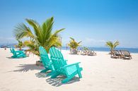 Witzand met uitzicht op zee op een paradijselijk strand resort op een onbewoond eiland van Michiel Ton thumbnail