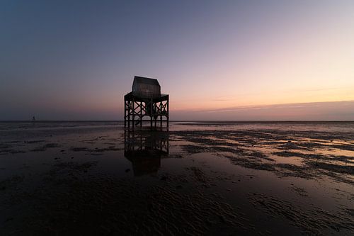 House on stilts on reclaimed seabed