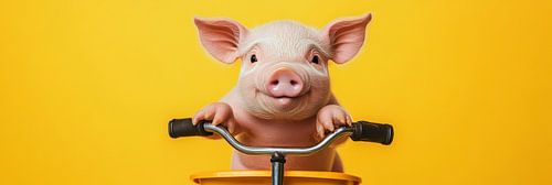 Varkentje op een gele kinderfiets met gele achtergrond