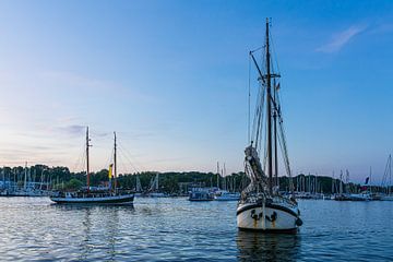 Sailing ships on the Warnow in the evening during the Hanse Sail in