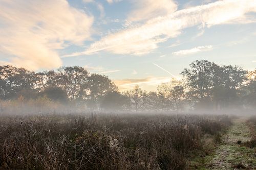 Zonsopkomst in Westerwolde