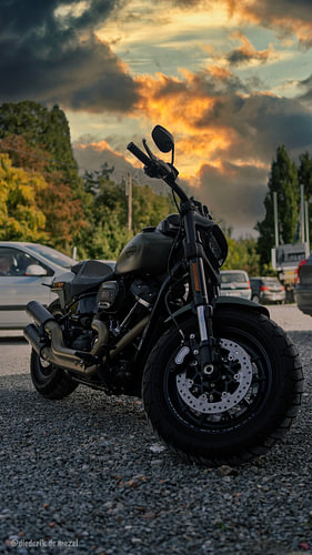 Harley