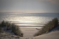Beach of Ameland