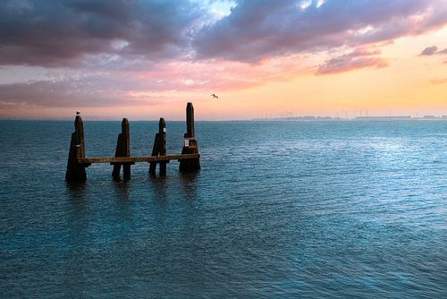 Zonsopgang Haringvliet