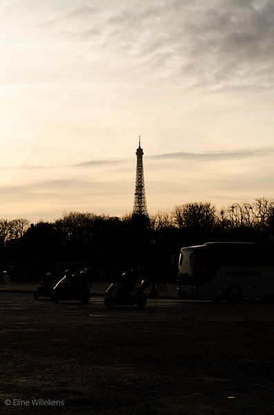 Paris - The Eiffel Tower during sunset by Eline Willekens