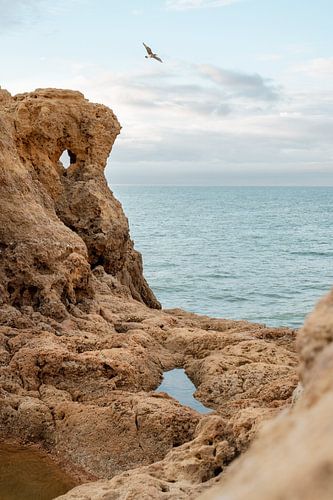 Der Heilige Geist über Land, Meer und Luft