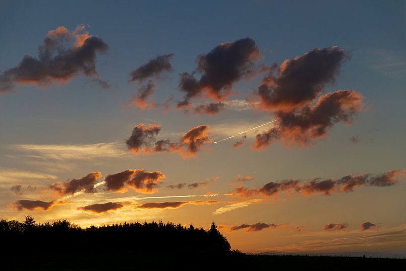 Dramatische wolken en condenssporen van vliegtuigen boven het silhouet van een dennenbos. von Emerik De Sadeleer