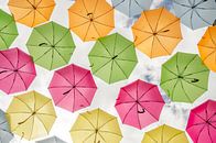 Kleurrijke paraplu's van Mark Bolijn thumbnail