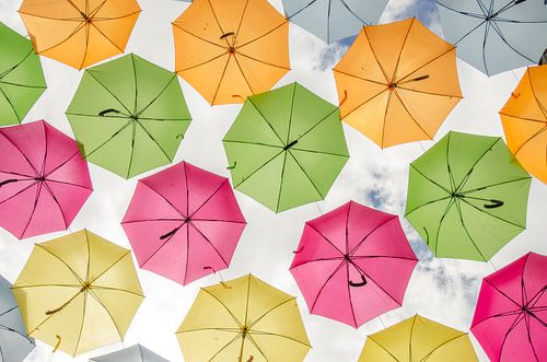 Kleurrijke paraplu's