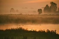 Gouden zonsopkomst aan de IJssel
