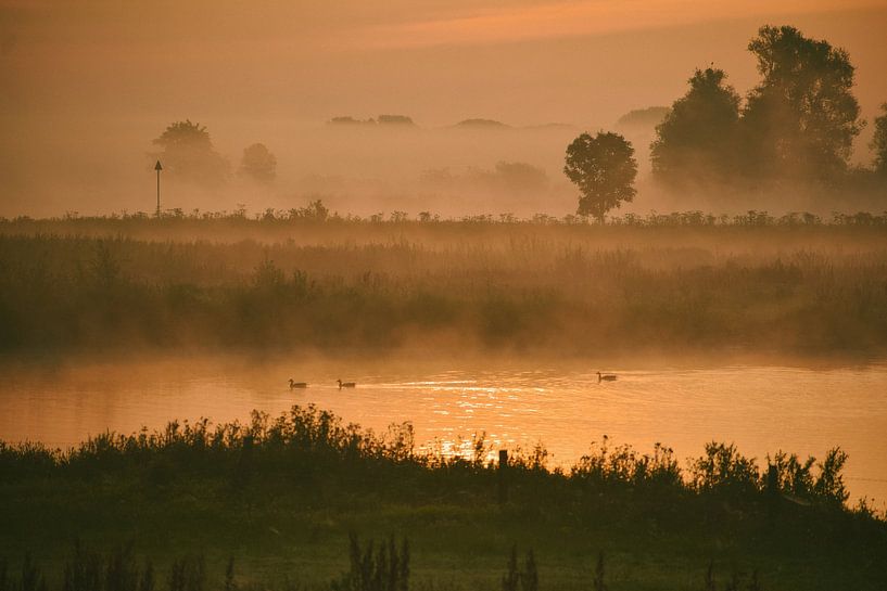Goldener Sonnenaufgang auf dem Fluss IJssel von Jisca Lucia