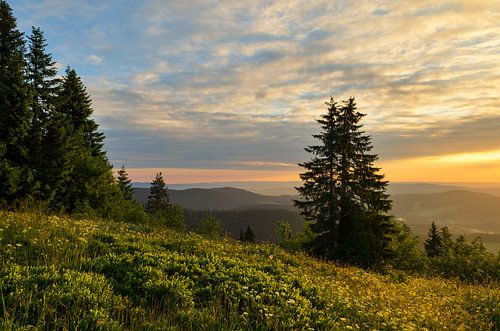 Beautiful golden light on top of the Feldberg. by Jos Pannekoek