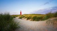 The red lighthouse of Cocksdorp, Texel