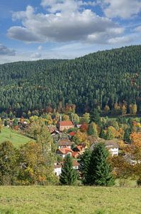 Urlaubsort Enzklösterle im Schwarzwald