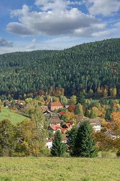 Vacation resort Enzklösterle in the Black Forest by Peter Eckert