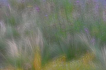 BLUMENWIESE 4 von Miroslav Ptacek