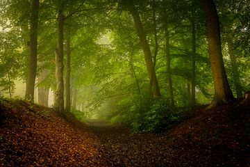 Le chemin caché