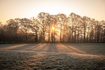 Zonsondergang in de achterhoek van Anke Kaal