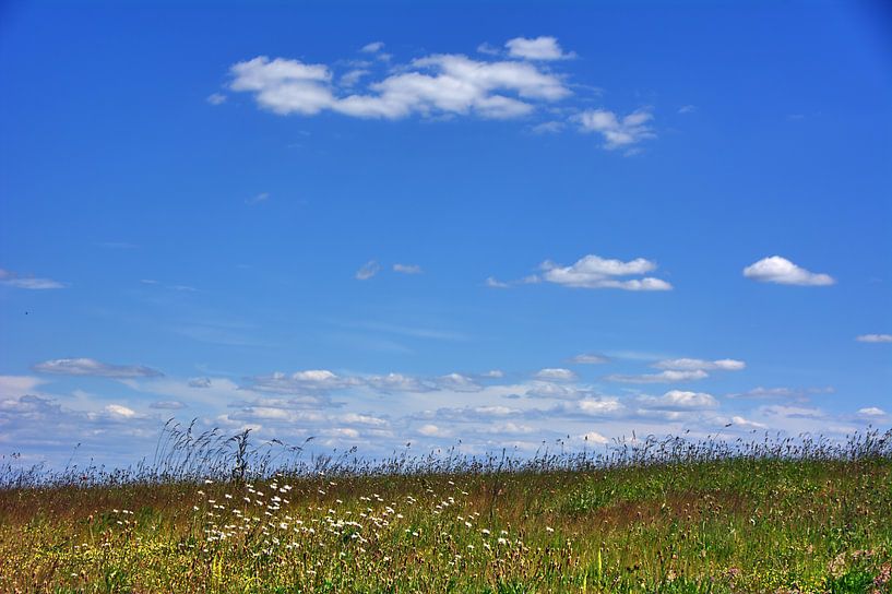 Op voorraad van Edgar Schermaul