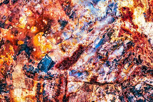 Kleurrijke verstening van hout abstract