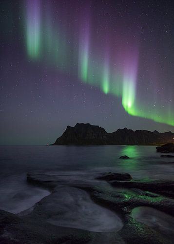 The reflections of the Valkyries...