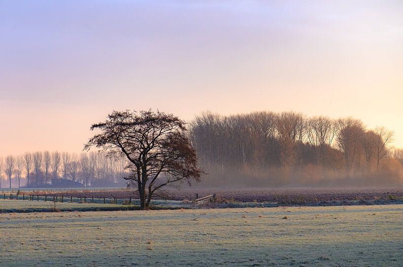 cold morning in the countryside by Tania Perneel