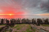 The mudflats at sunset