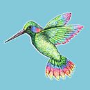 Kolibri von Bianca Wisseloo Miniaturansicht