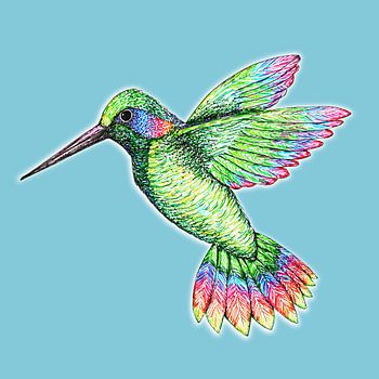 Kolibri