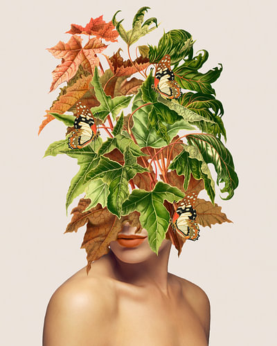 October Muse