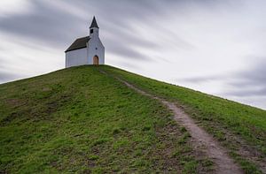 De Terp Leidschenveen van Eddy Kievit