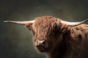 Porträt eines schottischen Highlanders mit Aquarellhintergrund