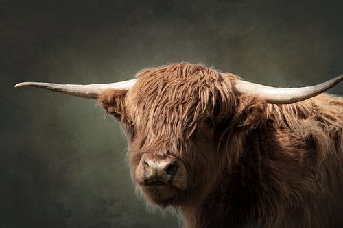 Portret van een schotse hooglander met waterverf achtergrond