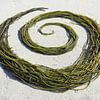 Seaweed Swirl by Mies Heerma