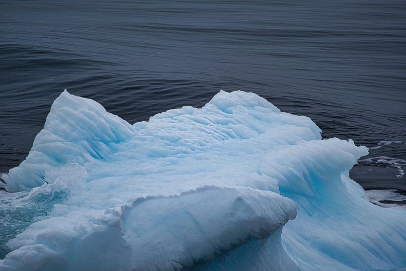 Details of a passing iceberg by Frank's Awesome Travels
