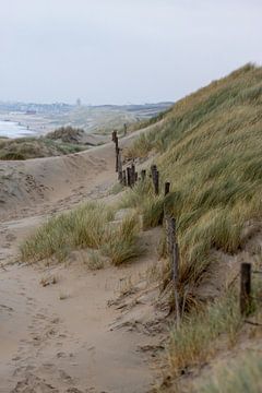 Le long des dunes sur Sebastian Stef