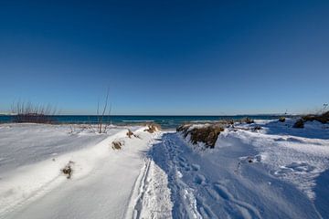 Oostzee, besneeuwde duinen op het strand in Juliusruh, Rügen van GH Foto & Artdesign