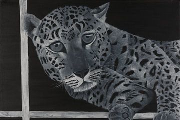 Schilderij Lazy Leopard van Atelier JS-art