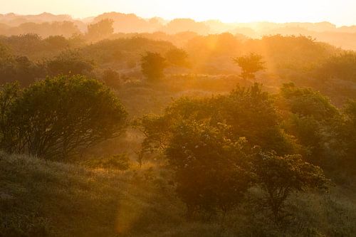 Zonsopkomst Berkheide Wassenaar