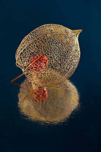 Donkerblauw met goudbruin: Een eenzaam lampionnetje