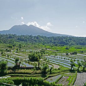 Rijstvelden op Bali, Indonesië - Azië van Liefde voor Reizen