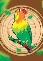 LOVEBIRD FIRE FEATHERS