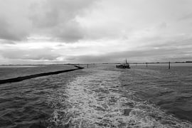 Bilder von Bensersiel und der Nordseeinsel Langeoog. von Bianca Meyering Fotos - BMF