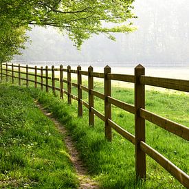 Pellenberg, België van Jarne Buttiens